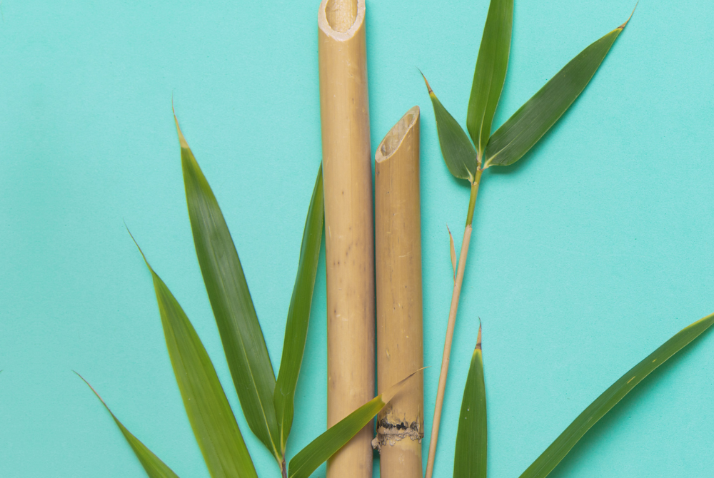 BAMBOO EXTRACT