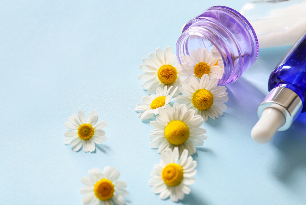 CHAMOMILE FLOWER EXTRACT