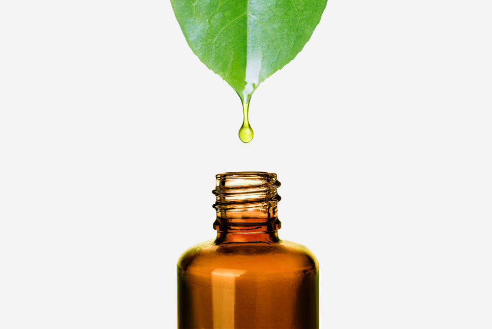 FEED YOUR SCALP