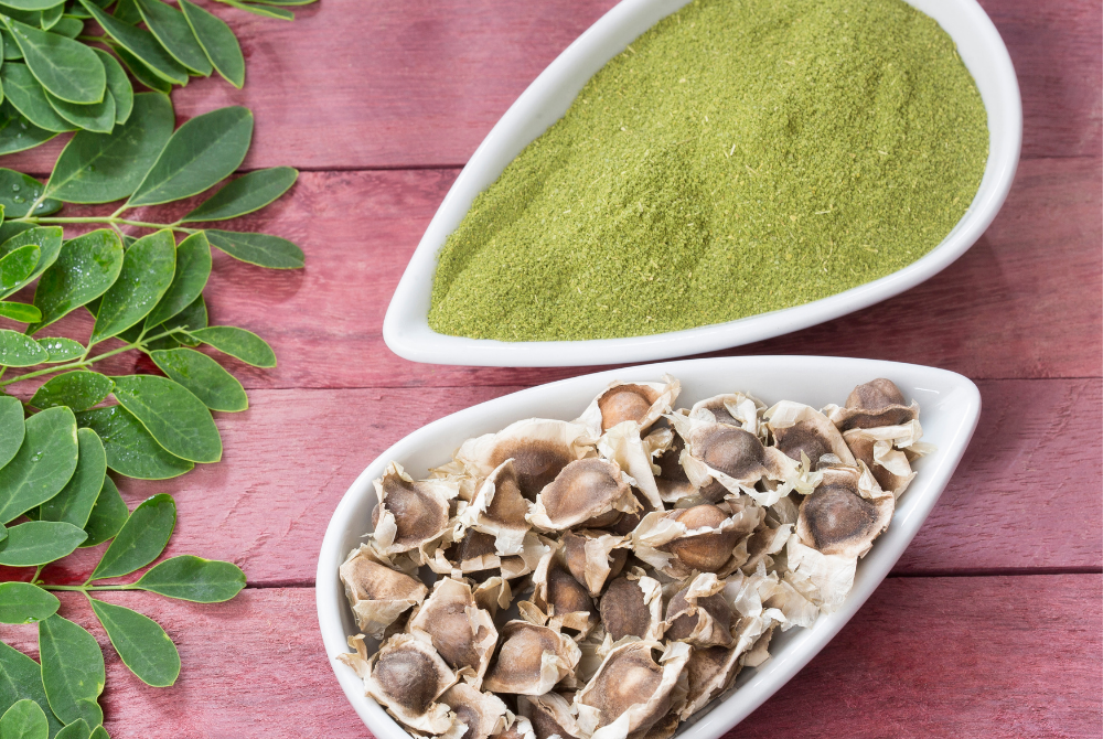 MORINGA SEED OIL